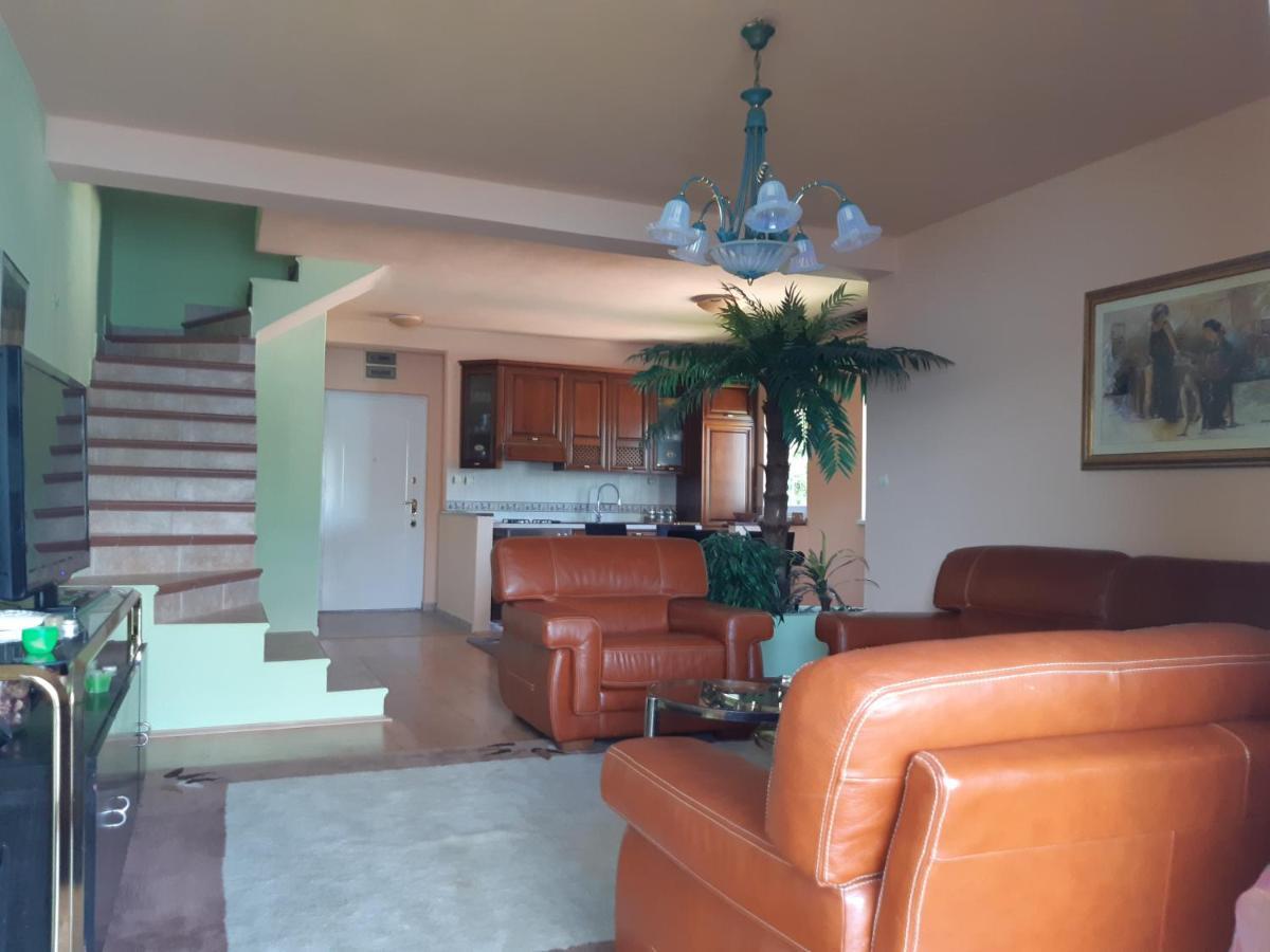 Villa Garden Apartments Herceg Novi Bagian luar foto