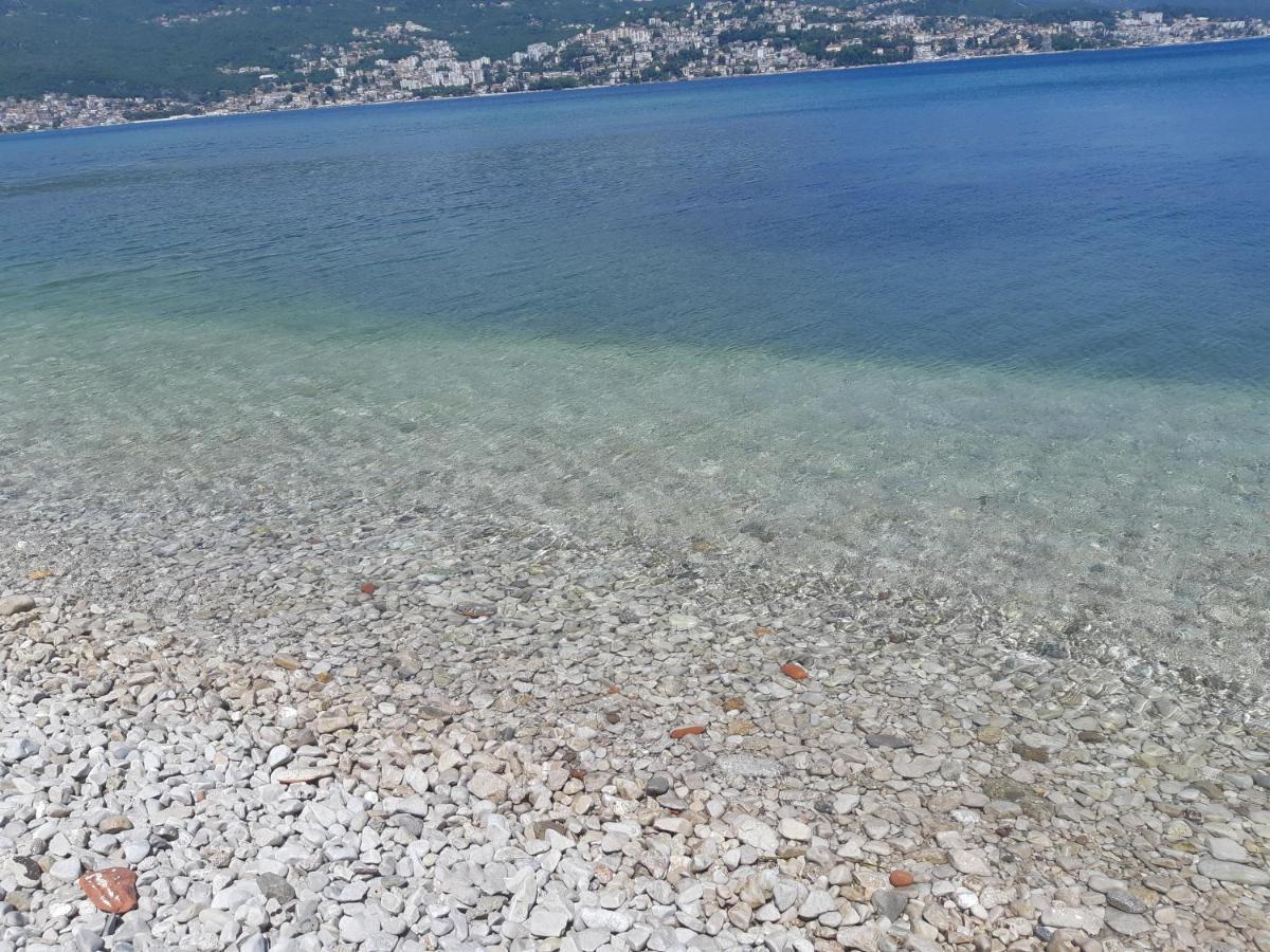 Villa Garden Apartments Herceg Novi Bagian luar foto