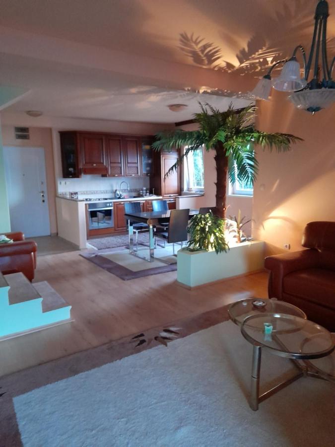 Villa Garden Apartments Herceg Novi Bagian luar foto